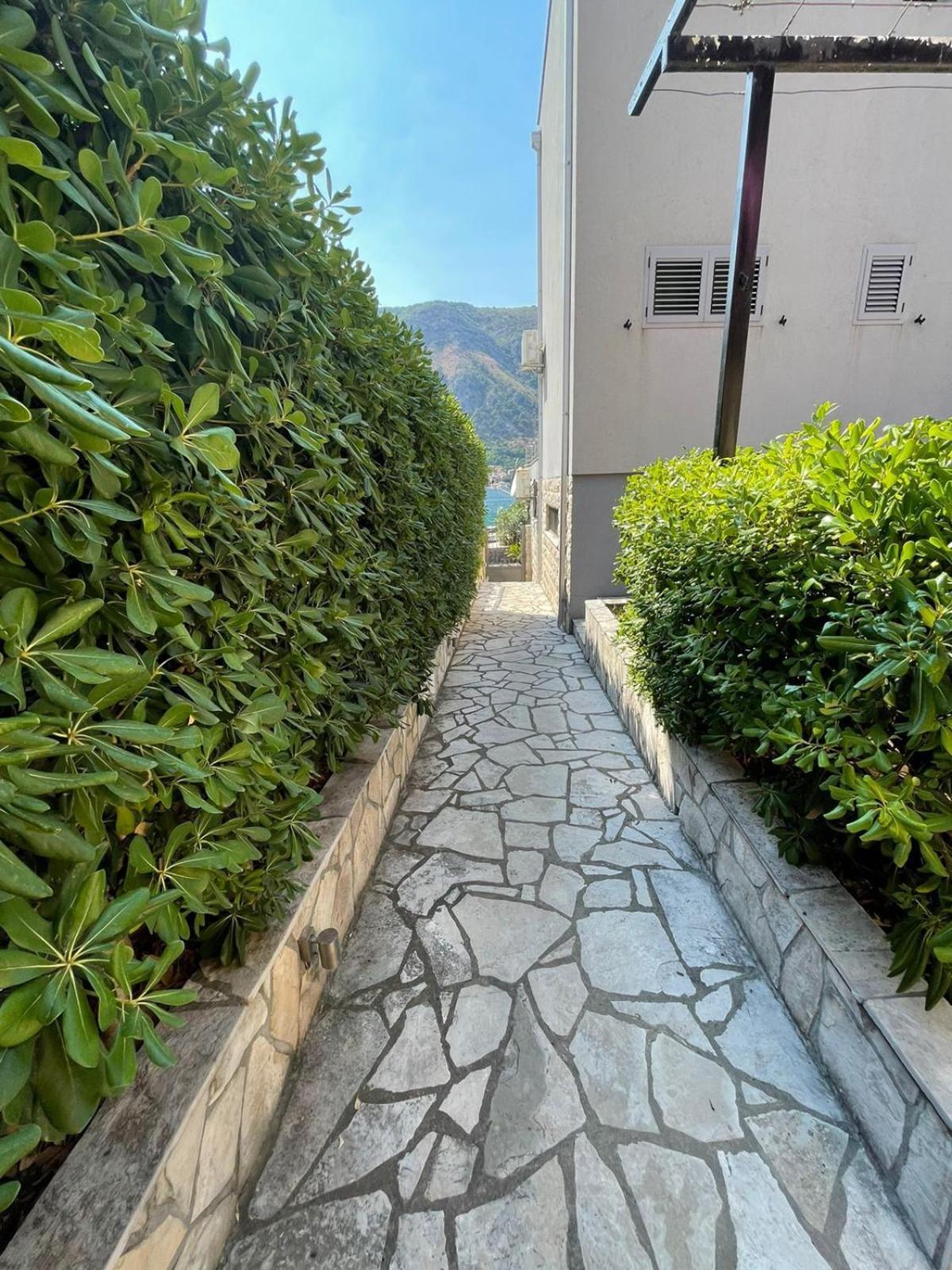 Bjelica Apartments Kotor Exterior photo